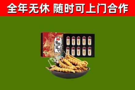 大关烟酒回收冬虫夏草礼盒.jpg
