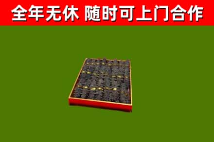 大关回收海参